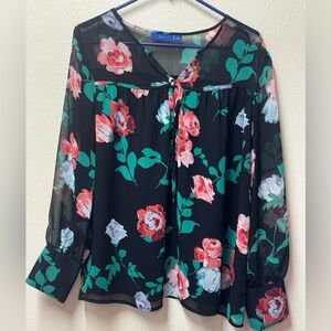 Women’s Sheer Blouse. Bundle